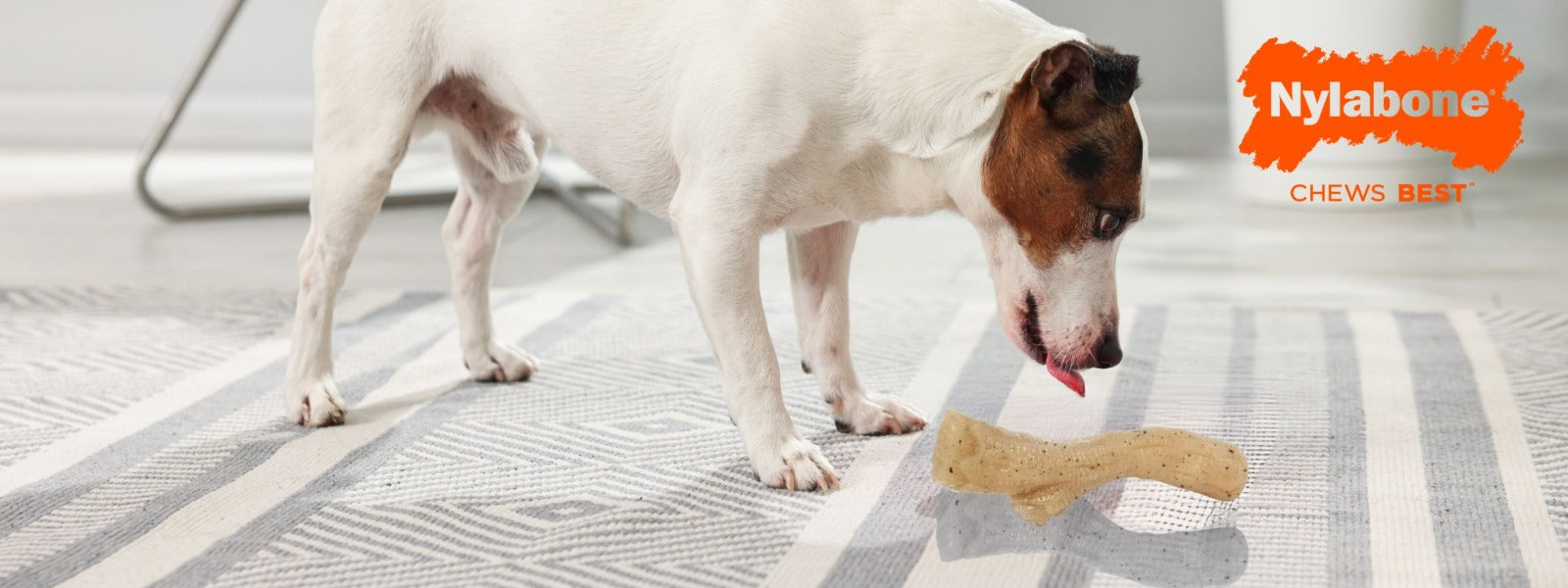 Nylabone
