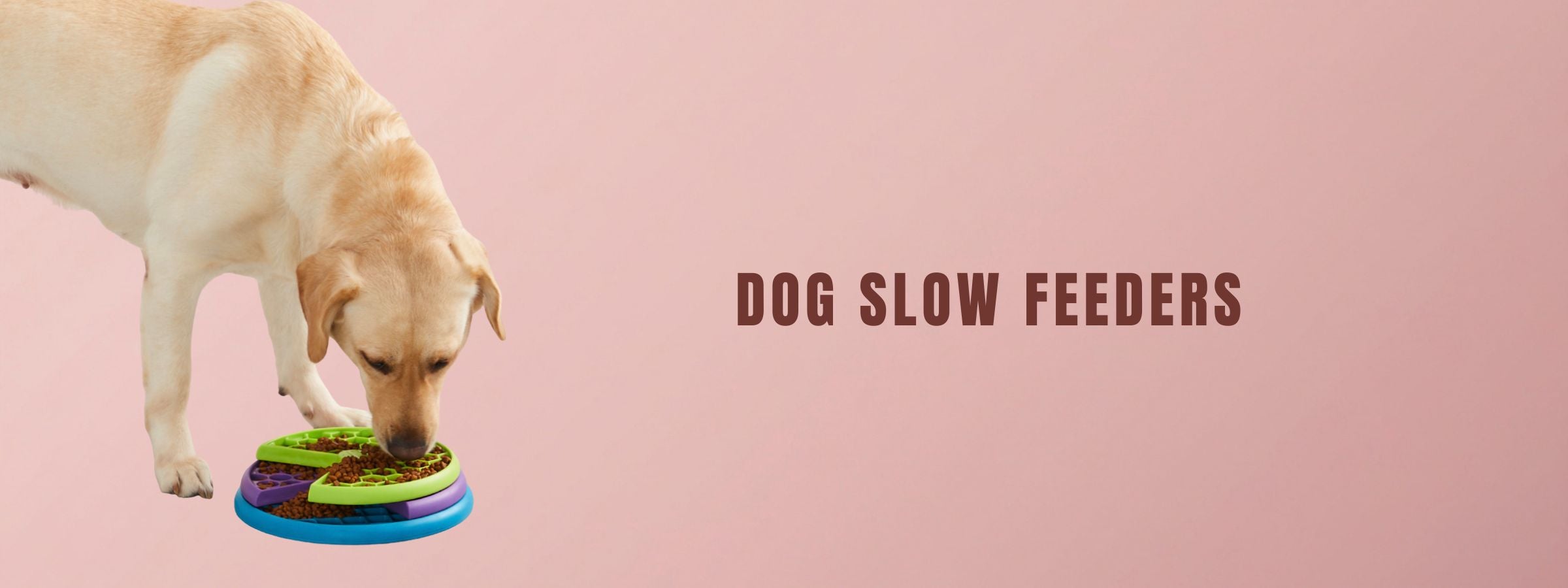 Slow Feeders