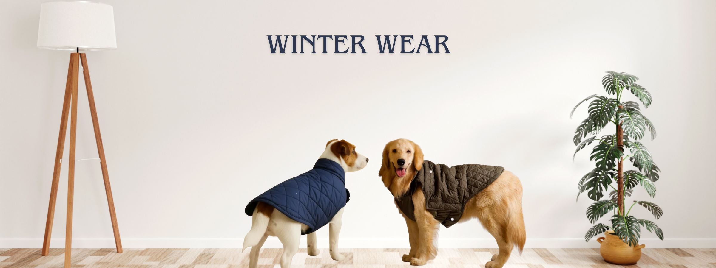 Winter Wear