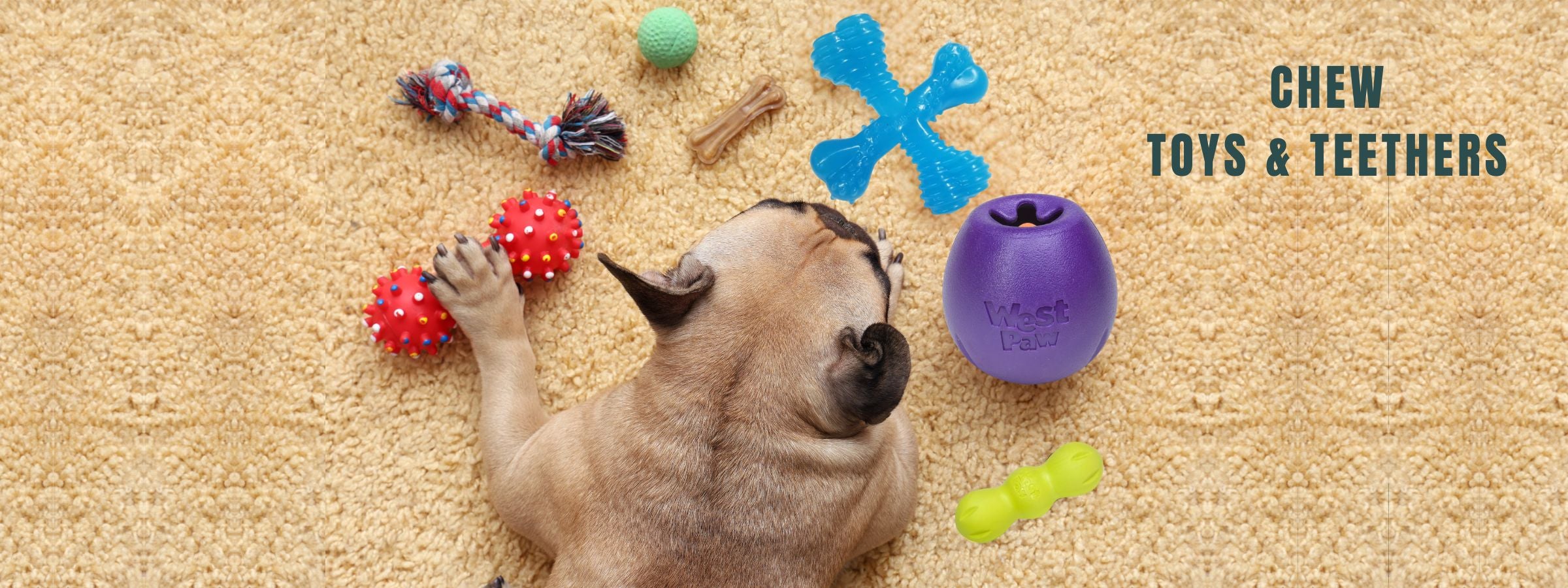 Chew Toys & Teethers