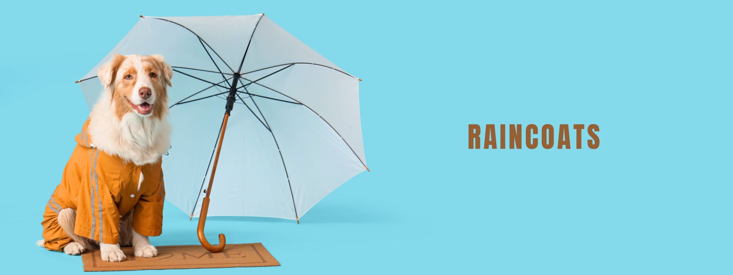 Raincoats