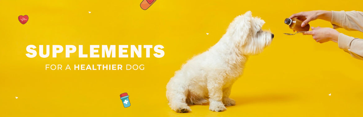 Dog Health Supplies, Supplements & Syrups