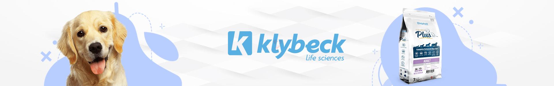 Klybeck