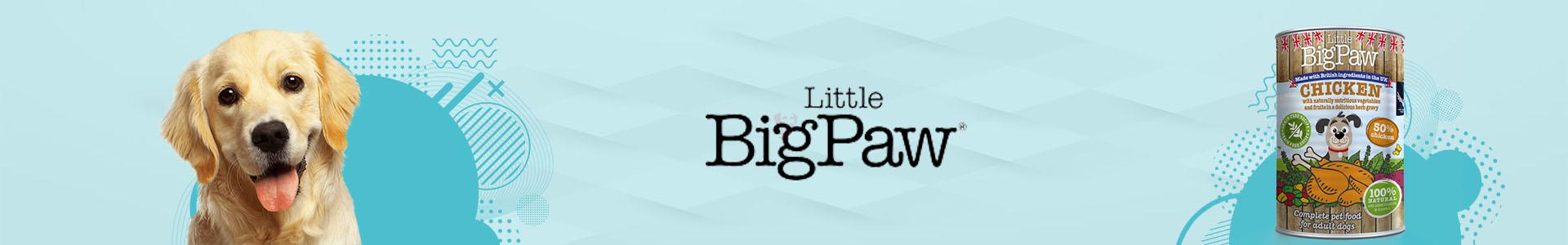 Little Big Paw