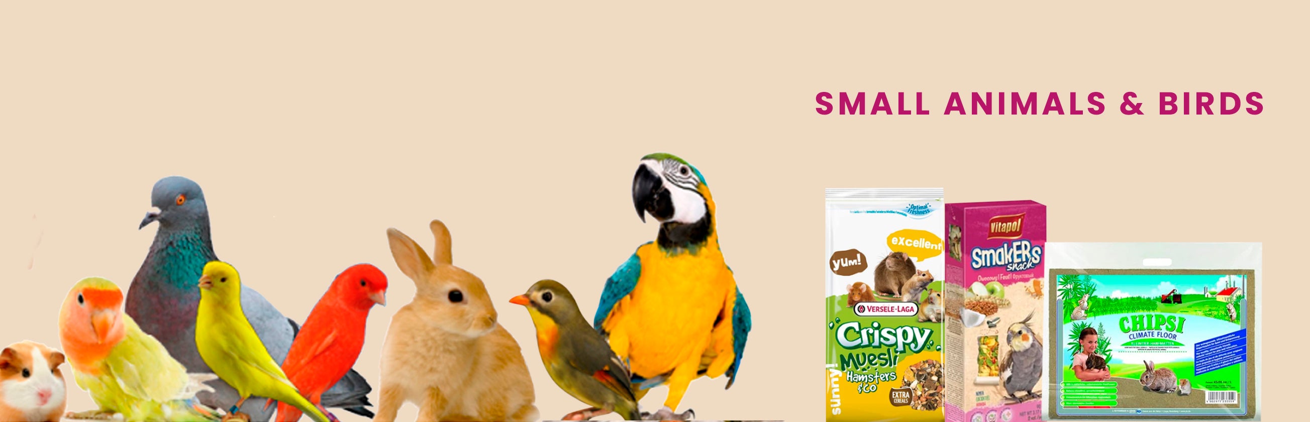 Shop for Small Animals & Birds
