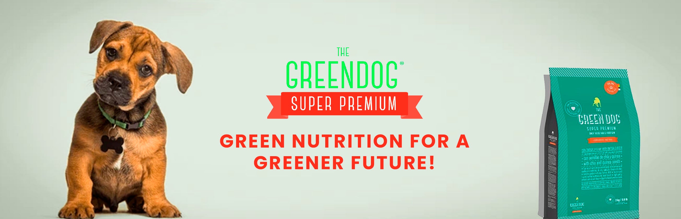 The Green Dog