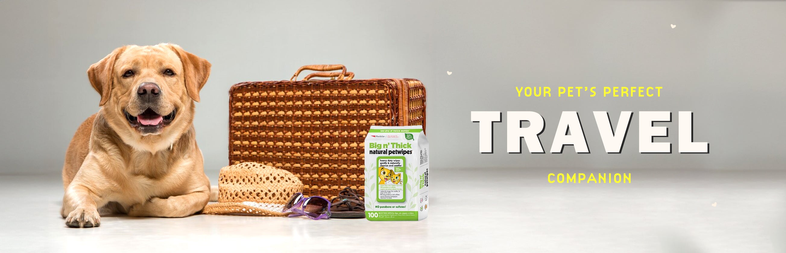 Dog Crates, Carriers & Bagpacks