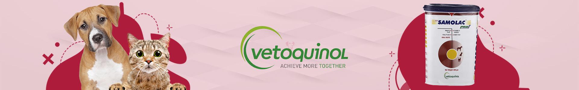 Vetoquinol