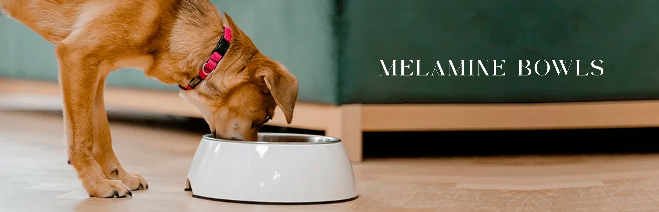 Melamine Bowls