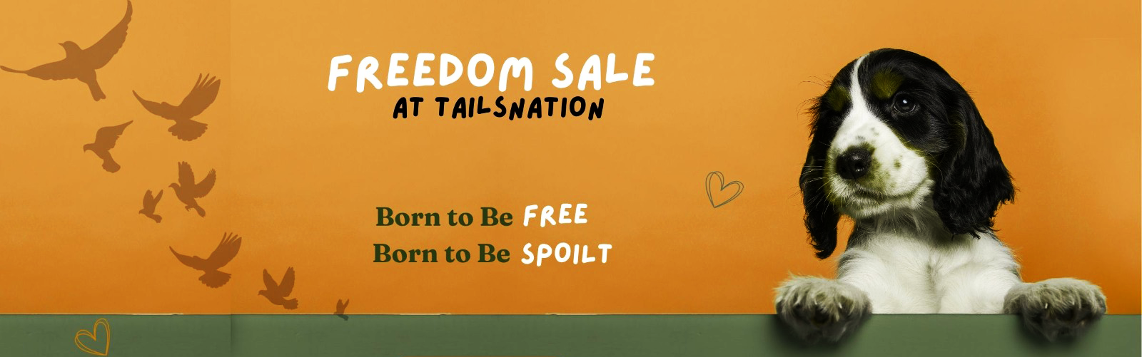 Deals !