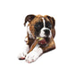 Nylabone Power Chew Femur Bone Alternative Chew Toy For Up To 16kg Dogs 13.03cm x 4.14cm x 2.87cm