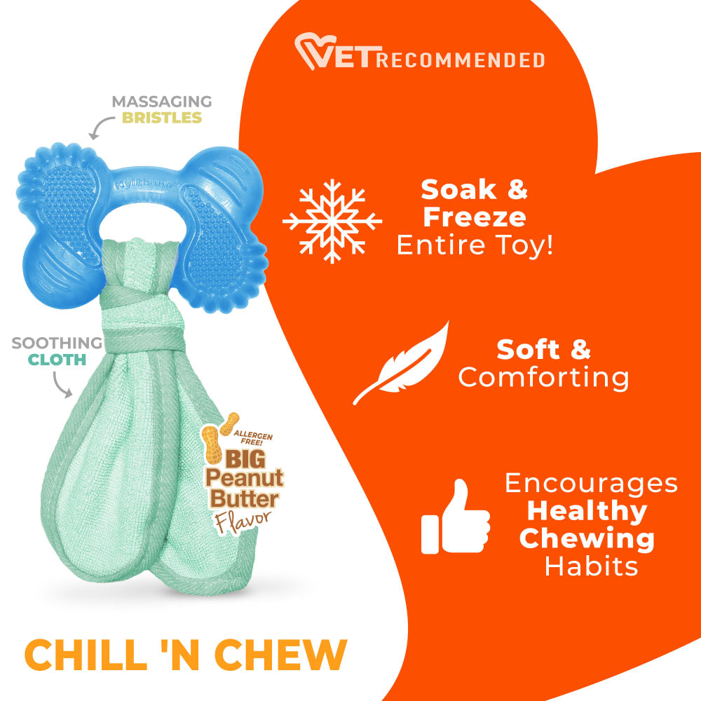 Nylabone Puppy Chew 2-in-1 Teething Freezer Bone Cloth Chew Toy Peanut Butter Flavor