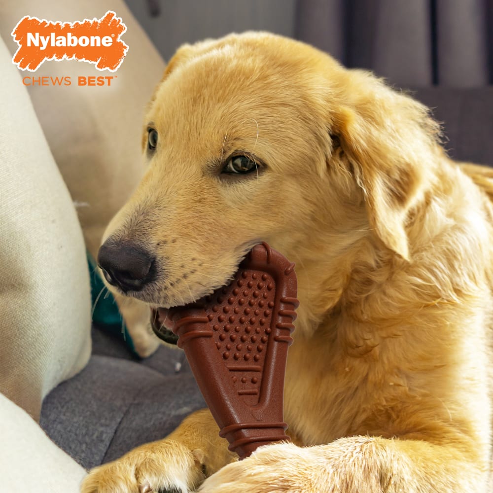 Nylabone Power Chew Arch Bone Beef Flavor Up To 23kg Dog Dental Chew Toy 16cm x 9cm x 2cm