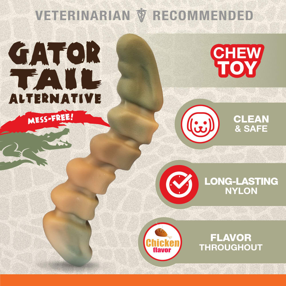 Nylabone Power Chew Gator Tail Alternative Chicken Flavor Chew Toy For Up To 23kg Dogs 19cm x 2cm x 3cm