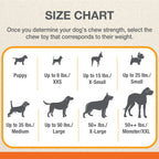 Nylabone Power Chew Action Ridges Bacon Flavor Chew Toy Up To 16kg Dogs 13.97cm x 2.54cm x 6.35cm
