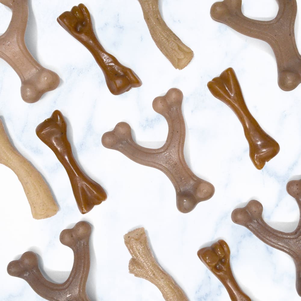 Nylabone Strong Chew Gourmet Style Femur Puppy Chew Toy Bacon Flavor Small 3.2 x 12 x 2.8cm
