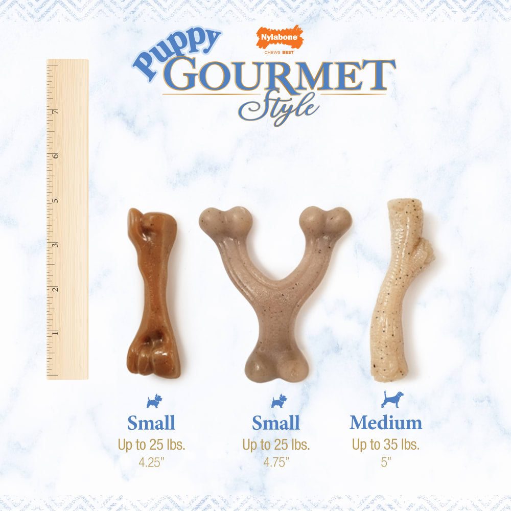 Nylabone Strong Chew Gourmet Style Femur Puppy Chew Toy Bacon Flavor Small 3.2 x 12 x 2.8cm
