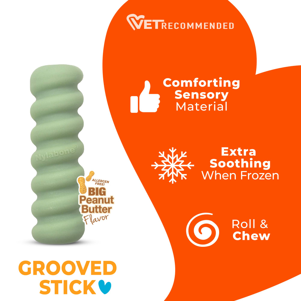 Nylabone Puppy Chew Tactile Stick Peanut Butter Flavor Dog Toy Small 4 x 12.50 x 3cm