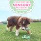Nylabone Puppy Chew Tactile Stick Peanut Butter Flavor Dog Toy Small 4 x 12.50 x 3cm