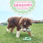 Nylabone Puppy Chew Tactile Stick Peanut Butter Flavor Dog Toy Small 4 x 12.50 x 3cm