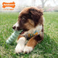 Nylabone Puppy Chew Tactile Stick Peanut Butter Flavor Dog Toy Small 4 x 12.50 x 3cm