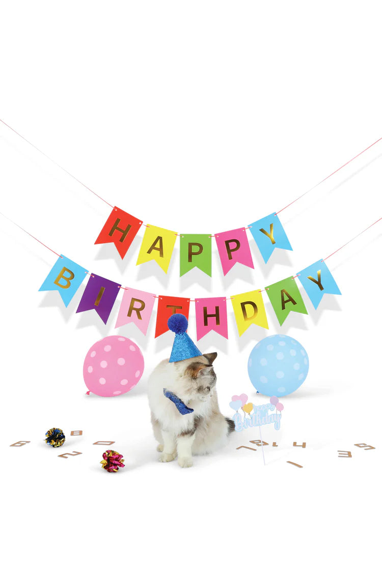 M-Pets Party Time Cat Gentleman's Set