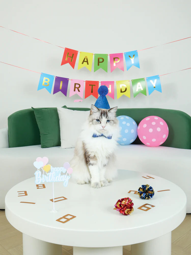 M-Pets Party Time Cat Gentleman's Set