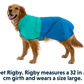Ruffwear Sun Shower Raincoat Jacket - Blue Dusk
