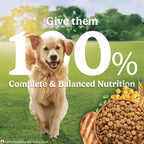 Purina Friskies Chicken Adult Dog Dry Food 2.5kg