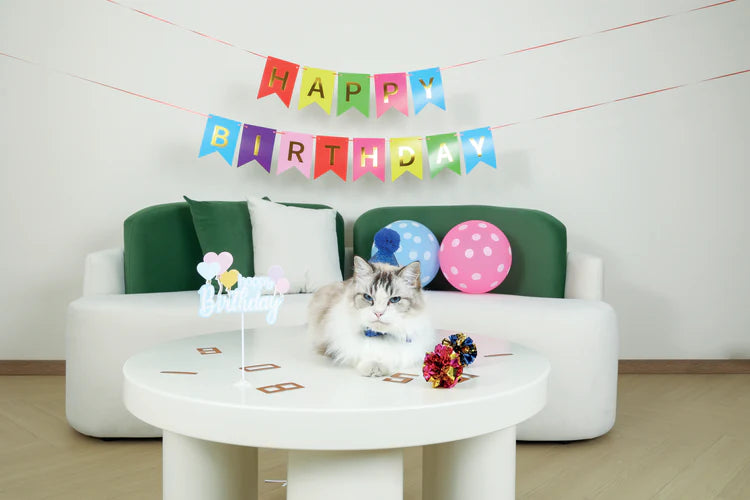 M-Pets Party Time Cat Gentleman's Set
