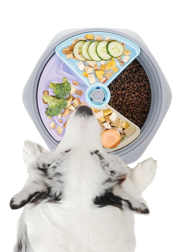 M-Pets Level Up Slow Feeder For Dogs