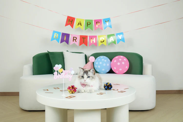 M-Pets Party Time Cat Lady's Set