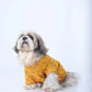 15 Furries Yellow Dog Sherwani