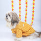 15 Furries Yellow Dog Sherwani