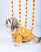 15 Furries Yellow Dog Sherwani