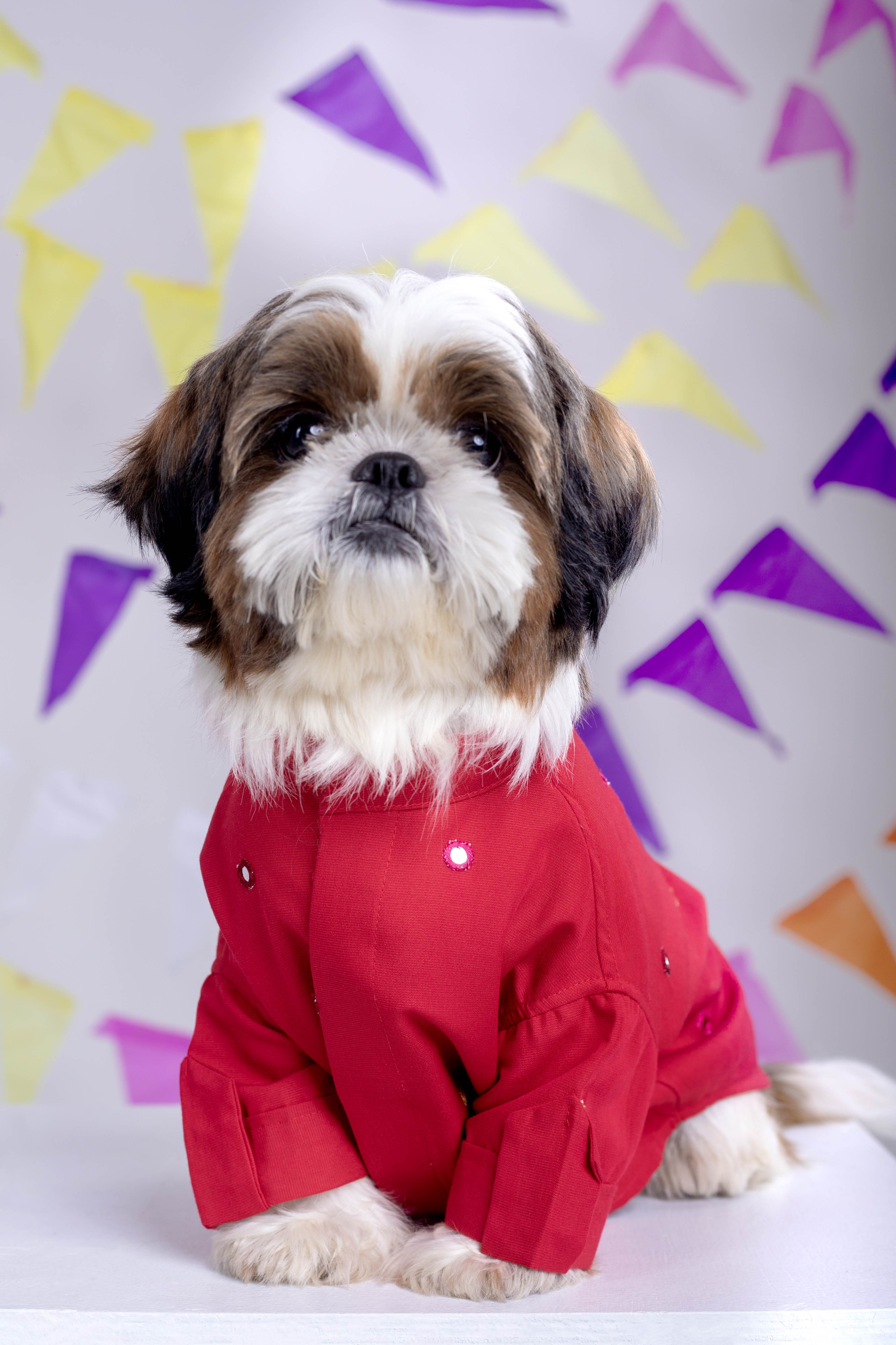 15 Furries Electric Red Mirrorwork Dog Kurta