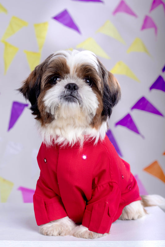 15 Furries Electric Red Mirrorwork Dog Kurta