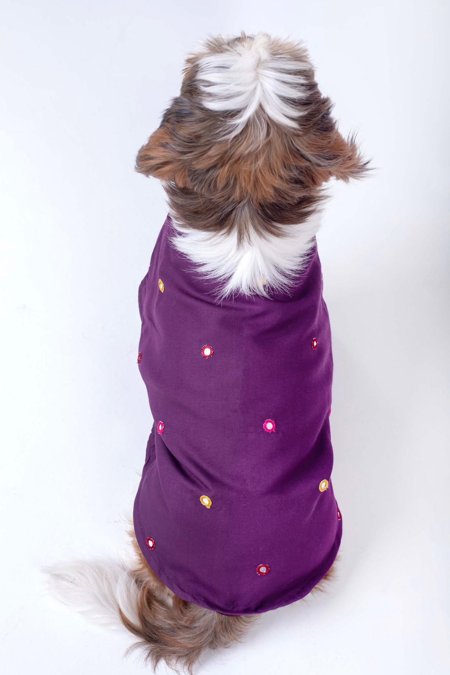 15 Furries Purple Wine Mirrorwork Dog Kurta