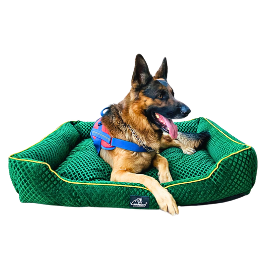Caninkart Premium Pattern Lounger Bed Green For Dogs