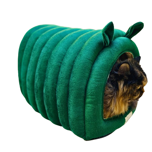 Caninkart Caterpillar Cave Bed For Dogs & Cats Medium Green 52cm x 46cm x 41cm
