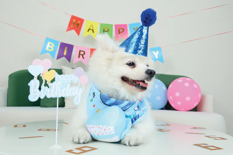 M-Pets Party Time Gentleman's Set