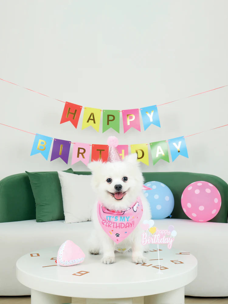 M-Pets Party Time Lady's Set