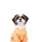 15 Furries Haldi Dog Kurta