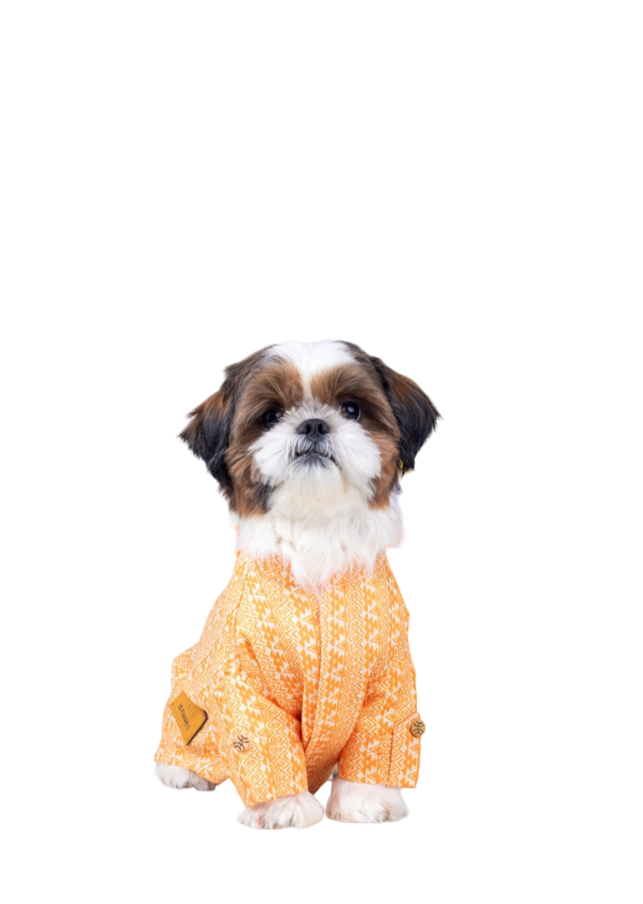 15 Furries Haldi Dog Kurta