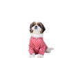 15 Furries Khushi Dog Kurta