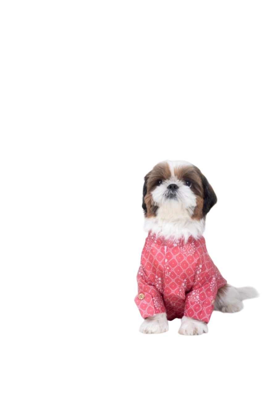 15 Furries Khushi Dog Kurta