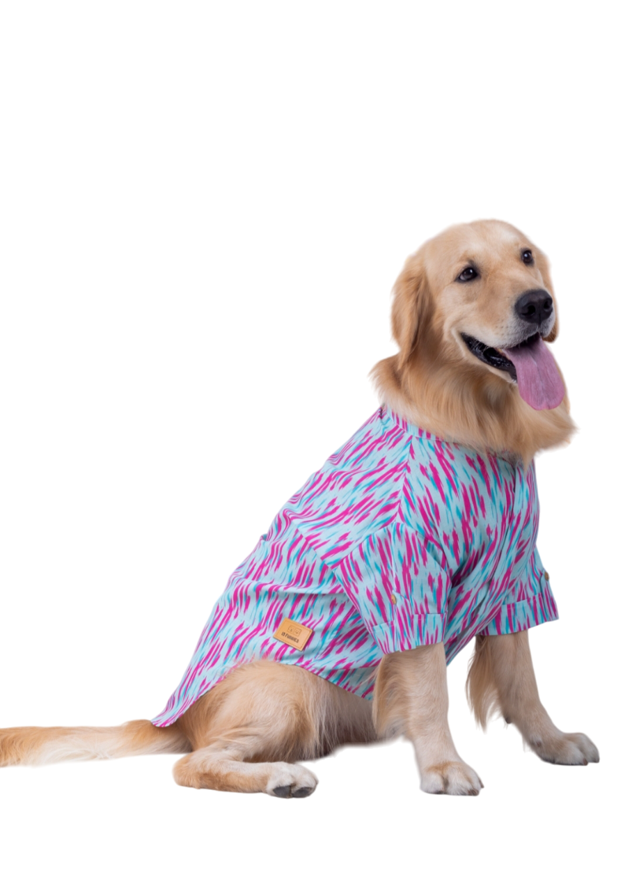 15 Furries Phataka Dog Kurta