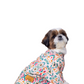 15 Furries Rangeela Dog Kurta