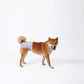 M-Pets FeMale Washable Diapers For Dogs