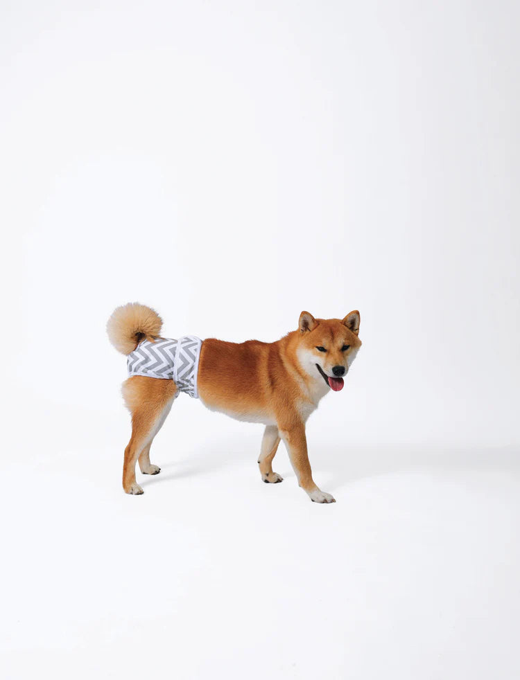 M-Pets FeMale Washable Diapers For Dogs